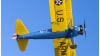 Biplane Aerobatic Flight Warrenton - 30 Minute Flight