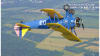 Biplane Aerobatic Flight Warrenton - 30 Minute Flight