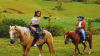 Horseback Riding Oahu, Kualoa Ranch - 2 Hour