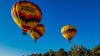 Hot Air Balloon Ride Albuquerque, Sunset Rio Grande Flight - 1 Hour Flight