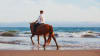 Horseback Riding on a Beach at Santa Barbara - 1.5 Hours