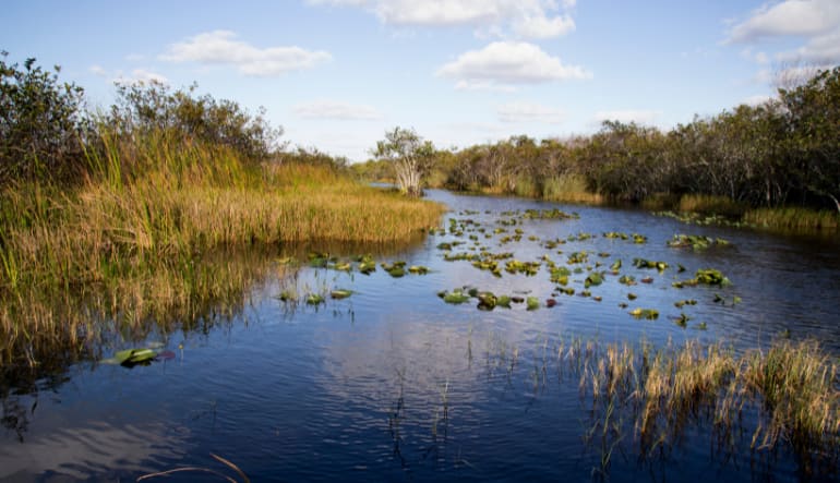 Miami Full Day Combo with Everglades tour, 6-7 Hours