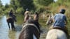 Private Santa Ynez Valley Horseback Riding - 60 Minutes