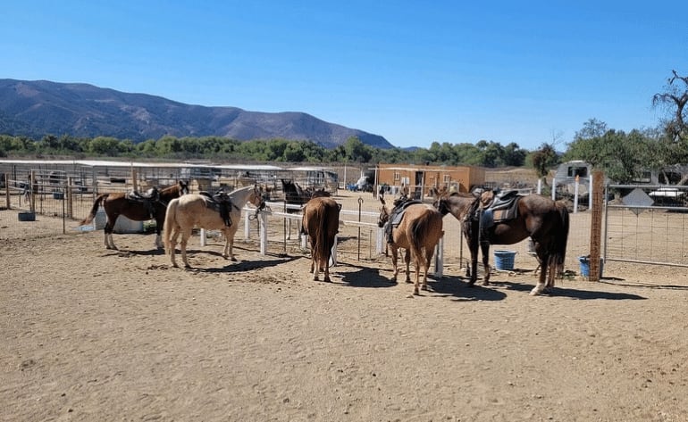 Private Santa Ynez Valley Horseback Riding - 75 Minutes