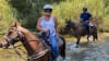 Private Santa Ynez Valley Horseback Riding - 75 Minutes