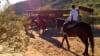 Horseback Riding Phoenix - 2 Hours 30 Minutes