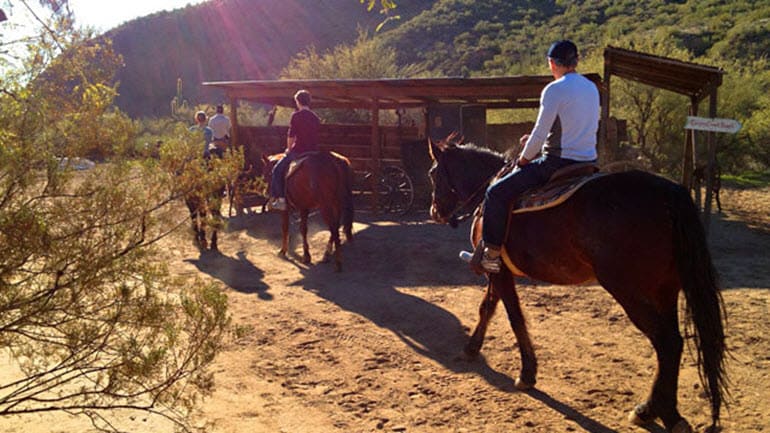 Horseback Riding Phoenix - 2 Hours 30 Minutes