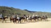 Horseback Riding Phoenix - 2 Hours 30 Minutes