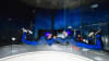 Indoor Skydiving iFLY Sacramento - 4 Flights