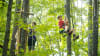 Zipline Treetop Adventure Indianapolis