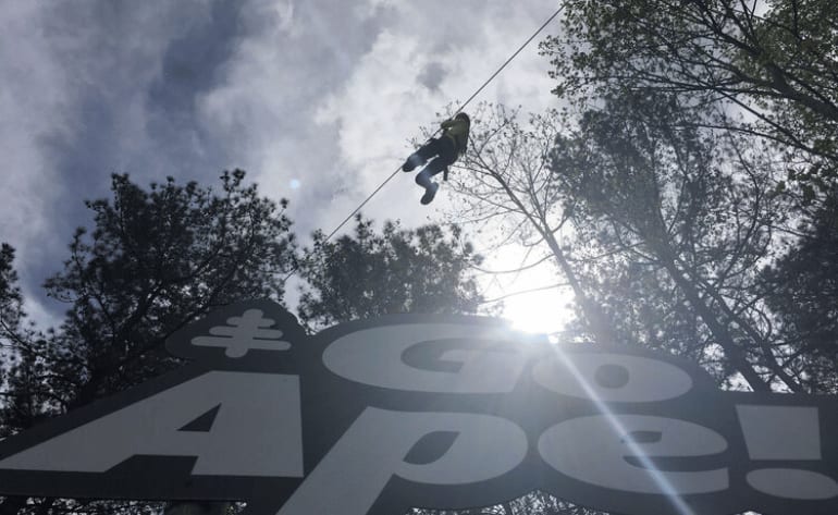 Beginner Zipline and Aerial Course Adventure, Raleigh - 1 Hour