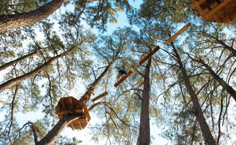 Zipline Treetop Journey Memphis go ape