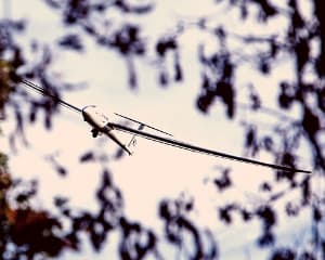 Glider Scenic Flight, Orlando - 20 Minutes