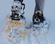 Guided Snowshoeing Adventure from Seward, Alaska - 3 Hours