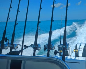 Fishing Charter Key West - up to 6 people, Half Day