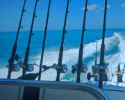 Fishing Charter Key West - up to 6 people, Half Day