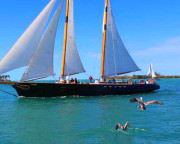 Boston Harbor Day Sail - 1.5 Hours