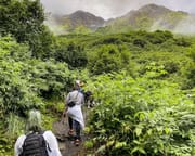 Harding Icefield Trail Hiking Tour from Seward, Alaska - 8 Hours