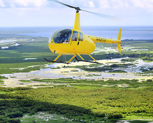 Helicopter Tour New Orleans, City and Swamp - 22 Minutes