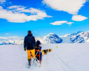 Helicopter Tour Knik River Valley with Glacier Landing and Dogsled Tour, Anchorage - 2 Hours