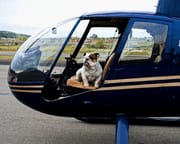 Private Helicopter Tour Oceanside to San Diego and Coronado - 65 Minutes (3rd Passenger Rides for Free!)