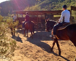 Horseback Riding Phoenix - 2 Hours 30 Minutes