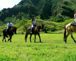 Horseback Riding Oahu, Kualoa Ranch - 2 Hour