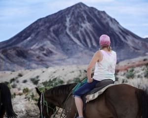 Horseback Riding Las Vegas - 1 Hour