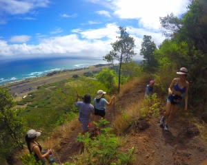 Intermediate Guided Hike Oahu - 2 Hours