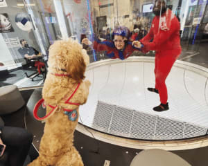 Indoor Skydiving iFLY Westchester - 4 Flights