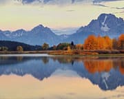 Jackson Hole Summer & Fall Wildlife Sunrise Safari, Grand Teton National Park - Half Day