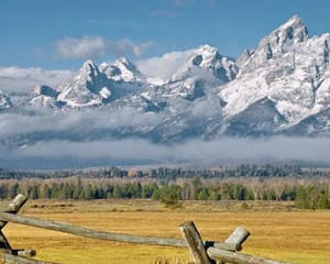 Jackson Hole Wildlife Full Day Safari, Grand Teton National Park (Private Trip for up to 5 People!) - Full Day