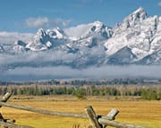 Jackson Hole Wildlife Full Day Safari, Grand Teton National Park (Private Trip for up to 5 People!) - Full Day