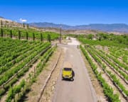 Jeep Tour and Wine Tour Combo, Camp Verde - 2 Hours