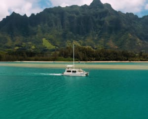 Kualoa Ranch Half Day Package with FREE Buffet Lunch, Oahu