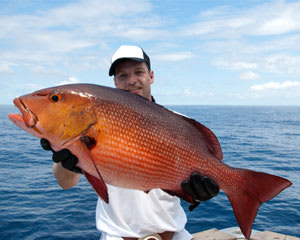 Deep Sea Fishing Charter Miami - up to 6 people, 6 Hours