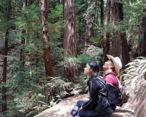 Muir Woods and Wine Country Tour, San Francisco - Half Day