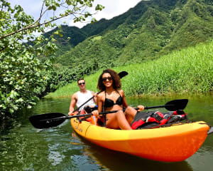 Oahu Kayak Rainforest River Tour, 4 Hrs