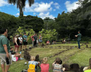 Oahu Kualoa Grown Tour, Kualoa Ranch - 90 Minutes