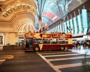 Open-Top Bus Night Tour and Fly LINQ Zipline Experience, Las Vegas - 3 Hours