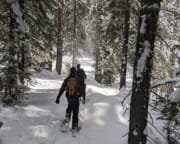 Palisades Point Snowshoe Tour, Lake Tahoe - 3 Hours