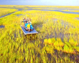 Private Everglades Airboat Tour, Fort Lauderdale - 60 Minutes