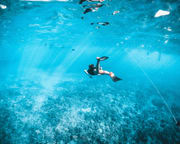 Private Reef Snorkel Eco Tour Oahu - 2 hours