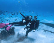 Oahu Scuba Diving, Two Tank Wreck and Reef Dive in Waikiki - 3 Hours