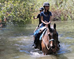 Private Santa Ynez Valley Horseback Riding - 75 Minutes