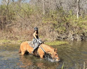 Private Santa Ynez Valley Horseback Riding - 60 Minutes