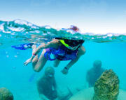 Punta Nizuc Snorkel and MUSA Visit Experience  - 2 Hours