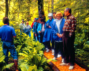 Walking Tour Ketchikan, Rainforest Island Adventure - 4 Hours