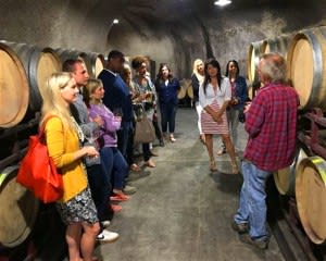 San Francisco Private Wine Tour, Sonoma County (Up to 6 people) - Full Day