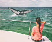 San Diego Whale Watching Tour Weekdays - 3.5 Hours